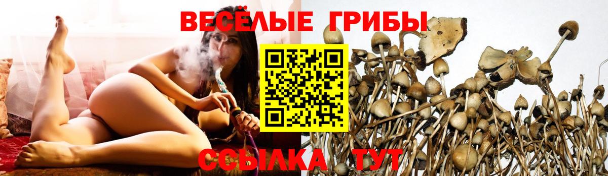 Чапаевск  Галлюциногенные грибы мицелий  Вход с VPN  Галлюциногенные грибы Magic Shrooms 