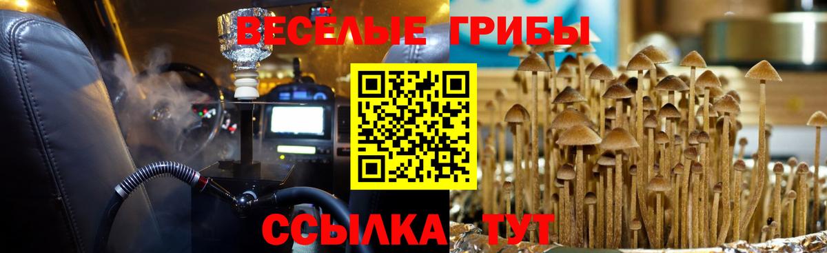 Галлюциногенные грибы прущие грибы Чапаевск